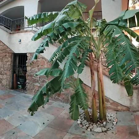Casa En La Naturaleza En Villa Benidorm